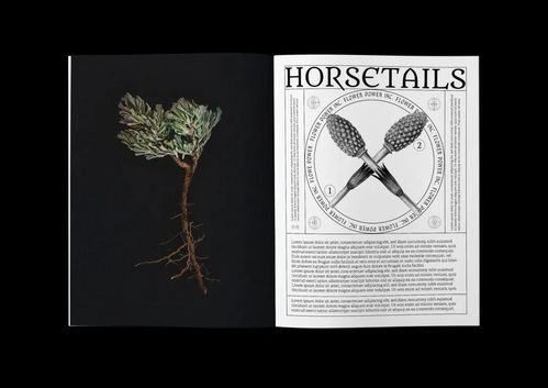 CGDA 2019視覺傳達(dá)設(shè)計獎獲獎作品賞析